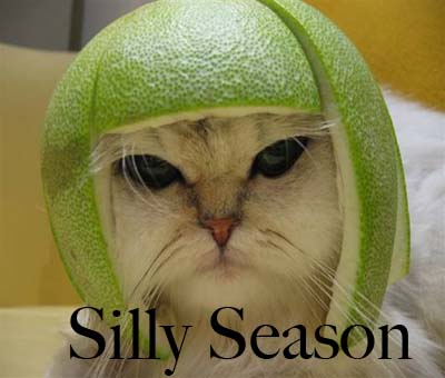 Image result for its silly season