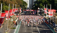 City to Surf